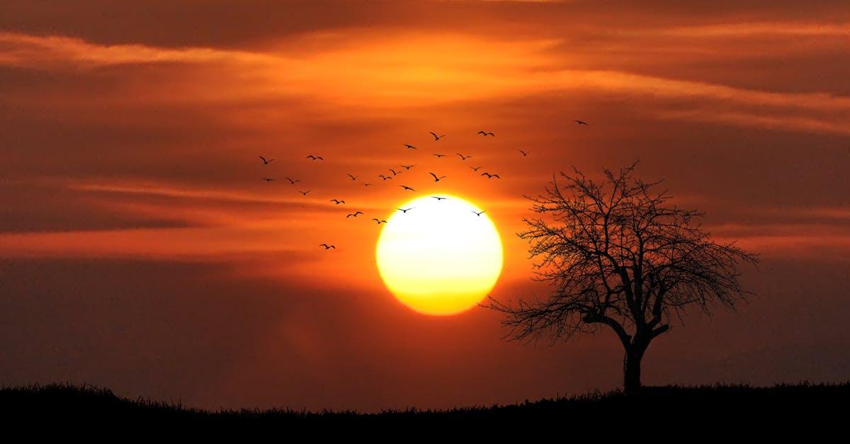 Hur fungerar solceller? – Den kompletta guiden